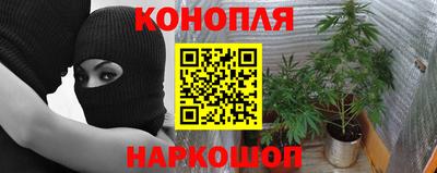 дурь Берёзовский