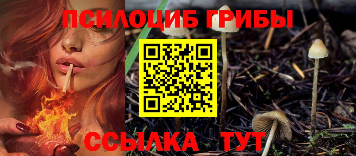 Псилоцибиновые грибы мухоморы  Псилоцибиновые грибы мицелий  цена   Гусиноозёрск 