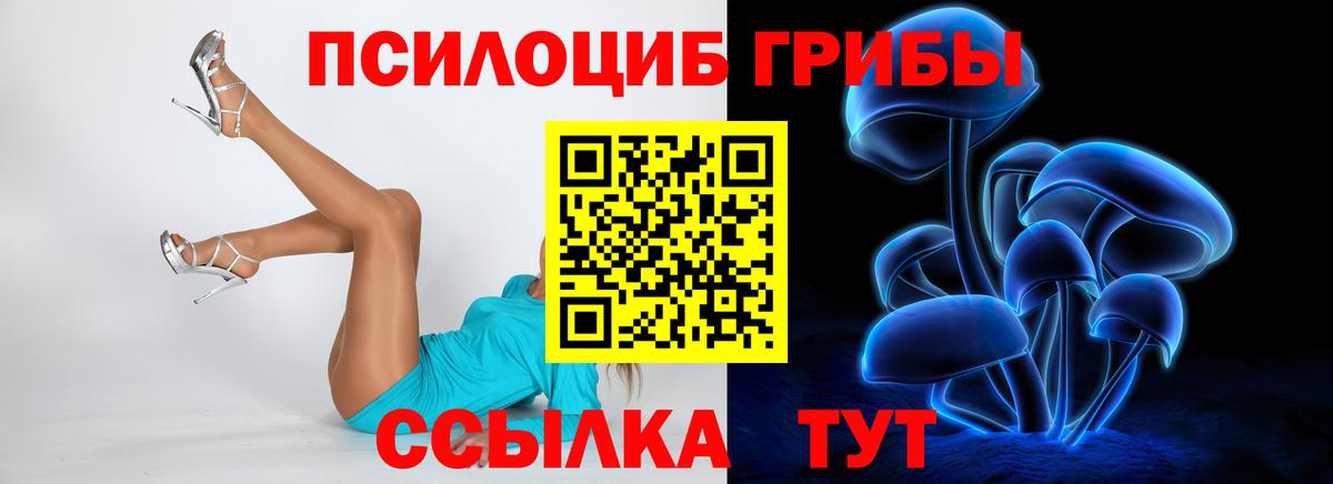 Галлюциногенные грибы Psilocybe  Вход с VPN  Гусиноозёрск 